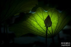 望城做網(wǎng)站的